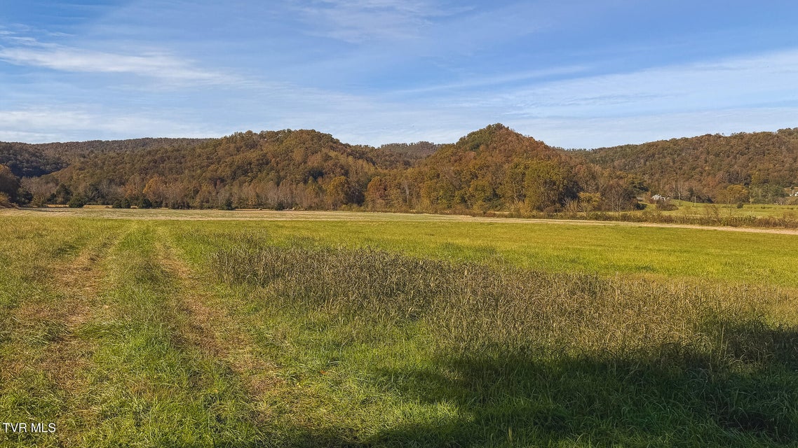 Photo #53: 684 Panther Road