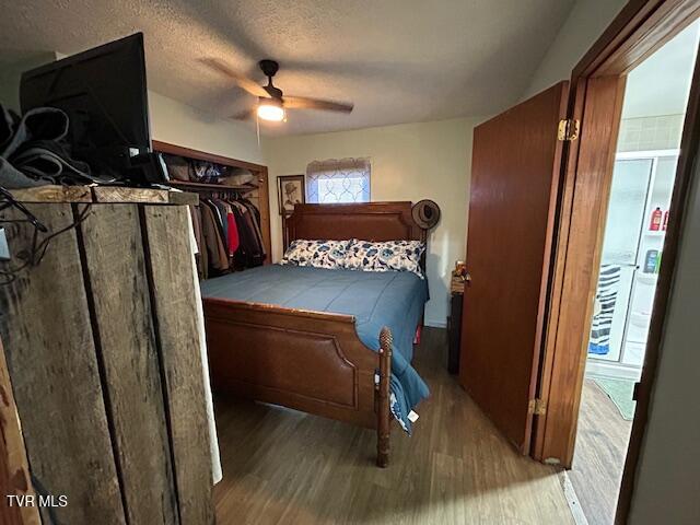 Photo #14: 147 Gilmore Street