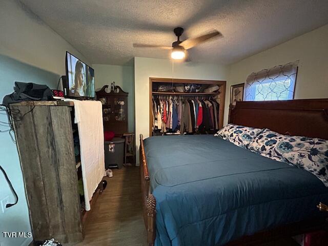 Photo #15: 147 Gilmore Street