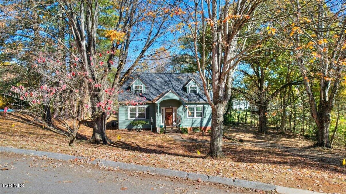 Photo #37: 2517 Larkspur Drive