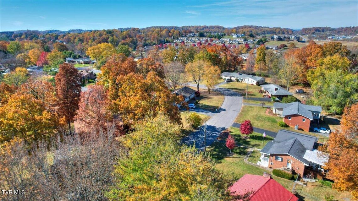 Photo #47: 2517 Larkspur Drive