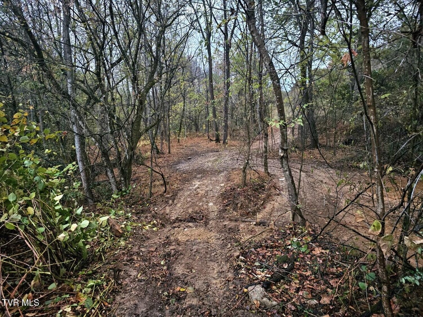 Photo #12: Tbd Blaine White Road