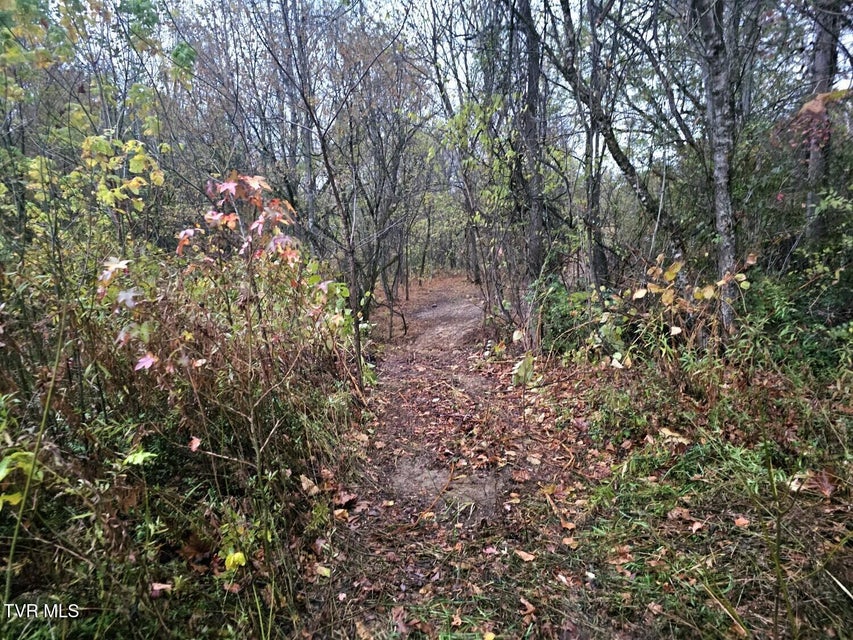 Photo #13: Tbd Blaine White Road