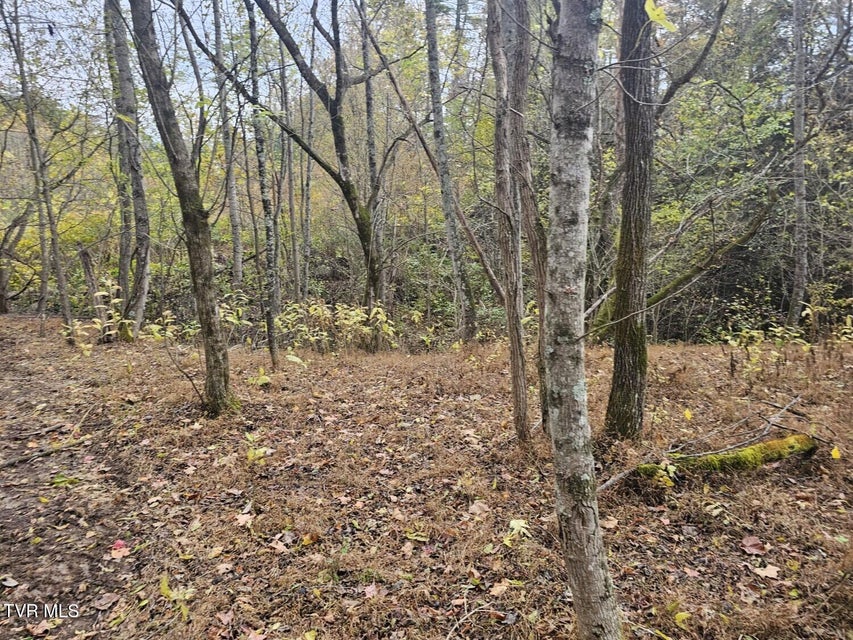 Photo #14: Tbd Blaine White Road