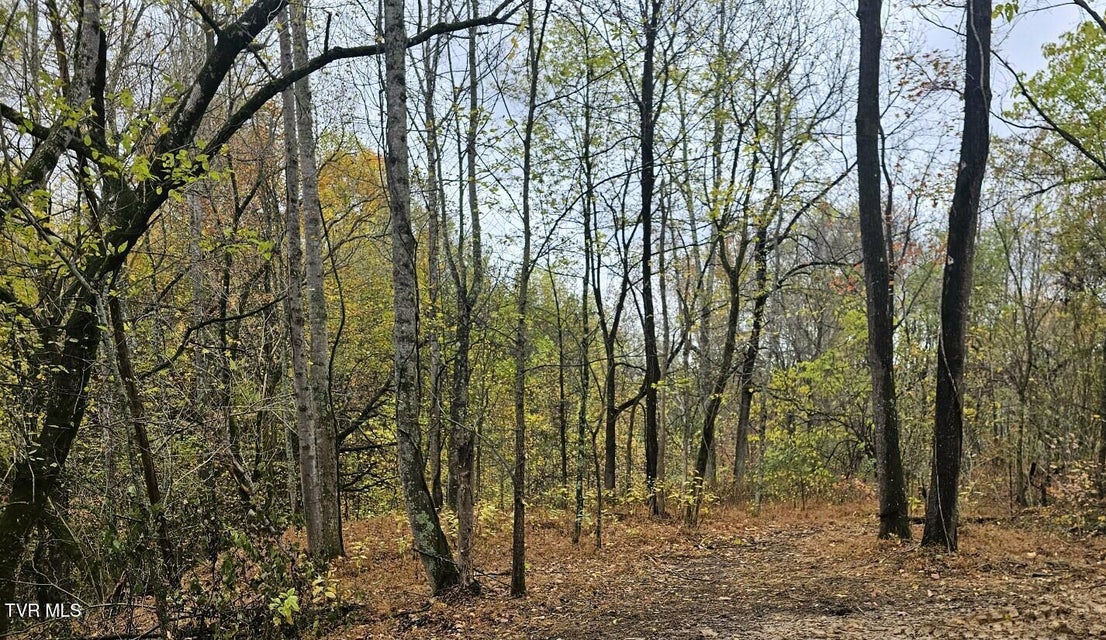 Photo #15: Tbd Blaine White Road