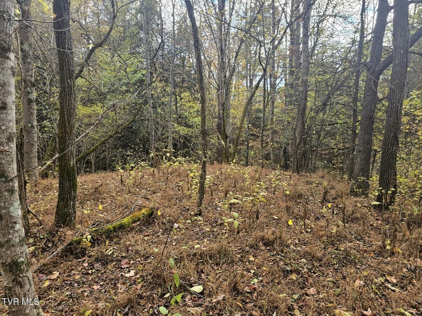 Photo #16: Tbd Blaine White Road