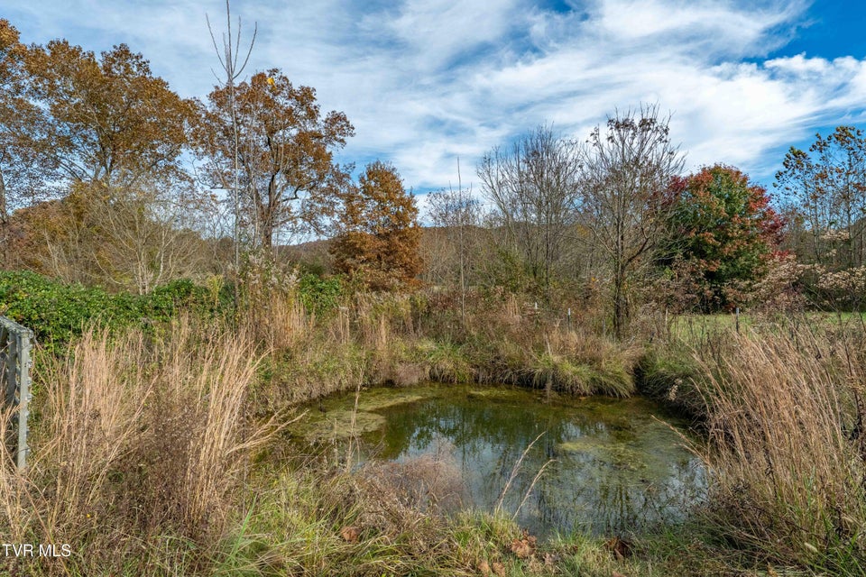 Photo #53: 245 Poes Lane