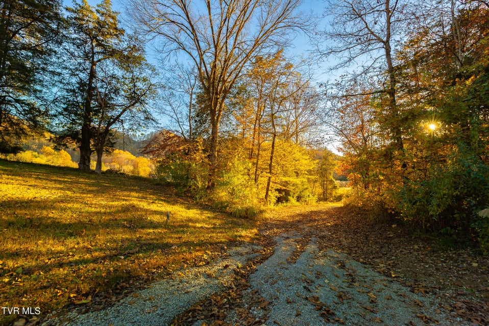 Photo #5: 0 Flower Gap Road