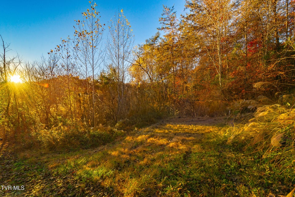 Photo #6: 0 Flower Gap Road