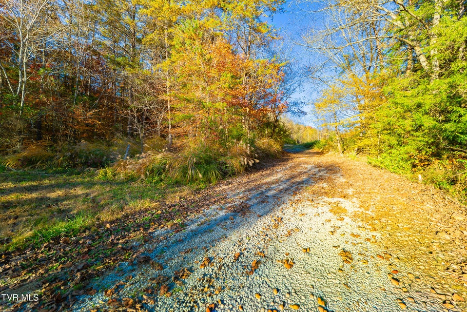 Photo #4: 0 Flower Gap Road