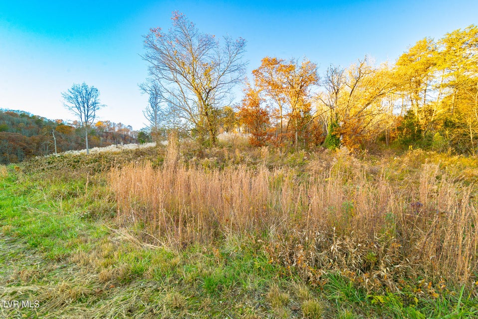 Photo #7: 0 Flower Gap Road