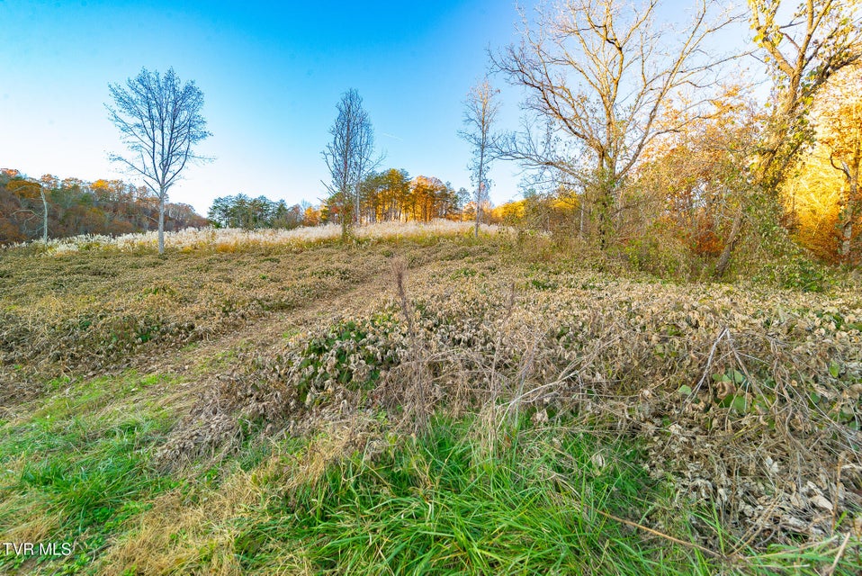 Photo #8: 0 Flower Gap Road