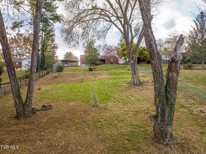 Photo #70: 414 Court Street