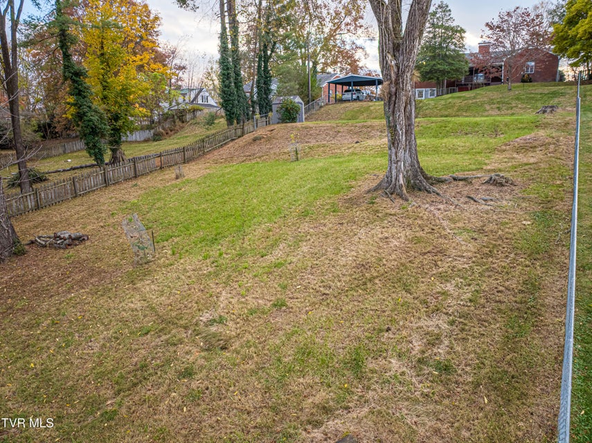 Photo #71: 414 Court Street