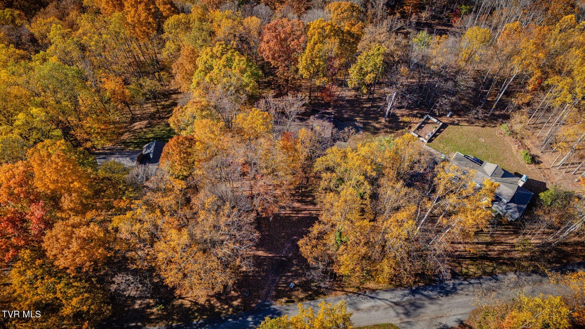 Photo #41: 5221 Foxfire Place