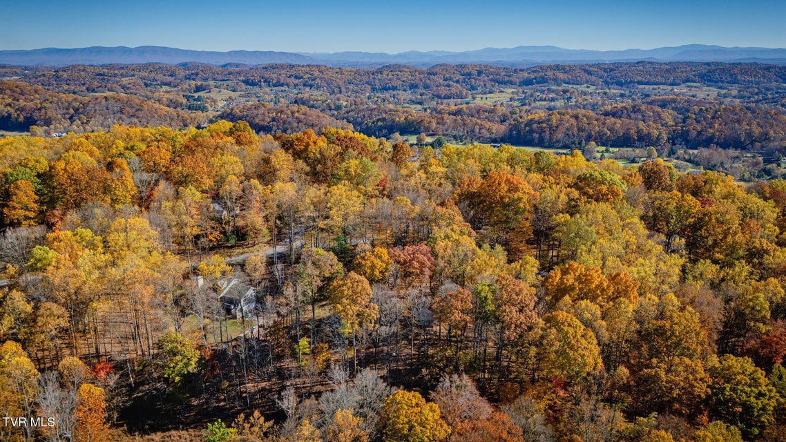 Photo #43: 5221 Foxfire Place