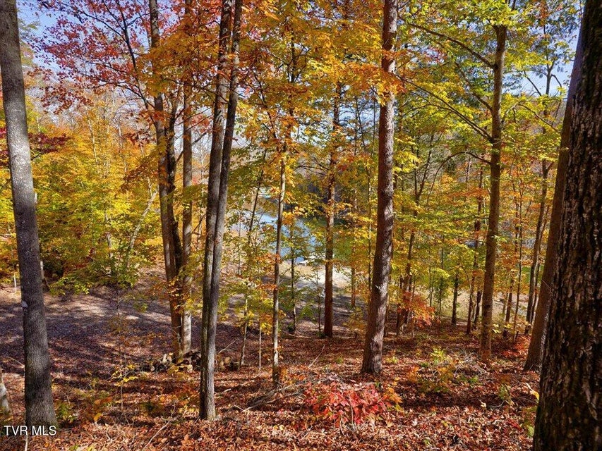 Photo #76: 280 Paradise Point