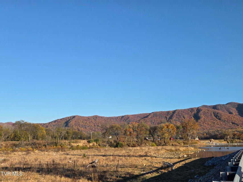 Photo #4: 289 Bill Mauk Road