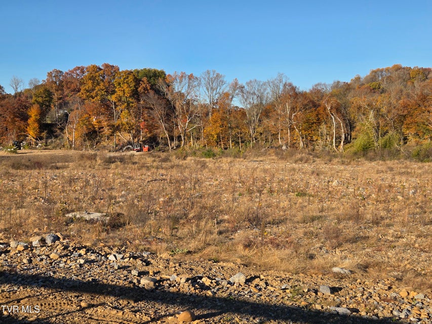 Photo #5: 289 Bill Mauk Road