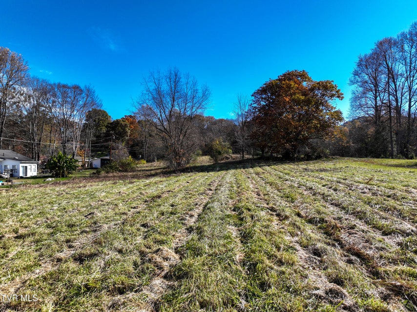 Photo #4: 297 Bluff Road