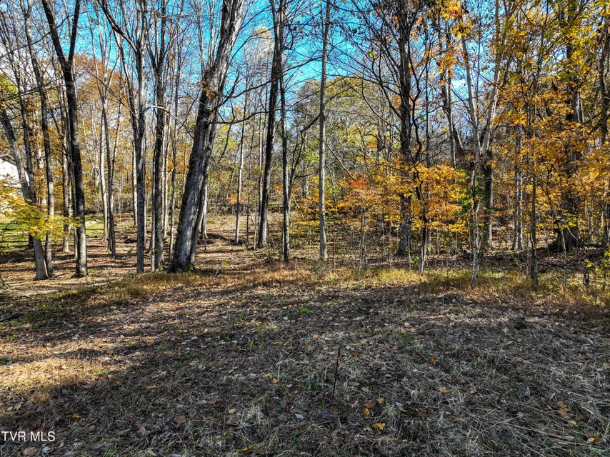 Photo #5: 297 Bluff Road