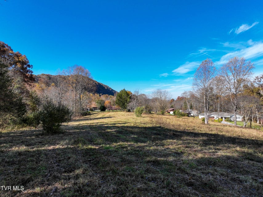 Photo #6: 297 Bluff Road