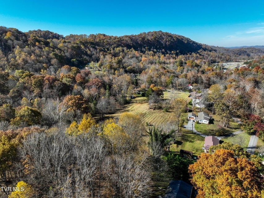 Photo #13: 297 Bluff Road