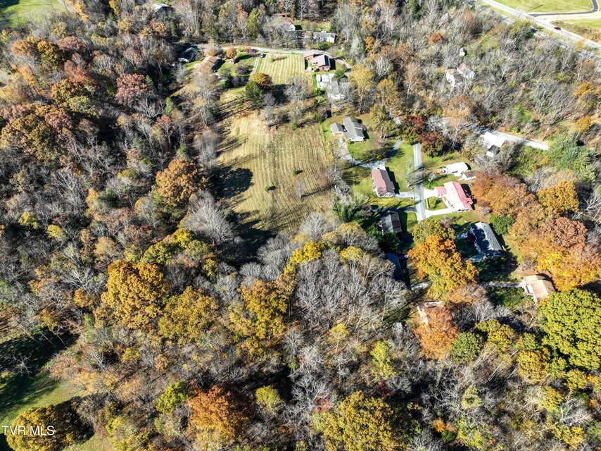 Photo #20: 297 Bluff Road