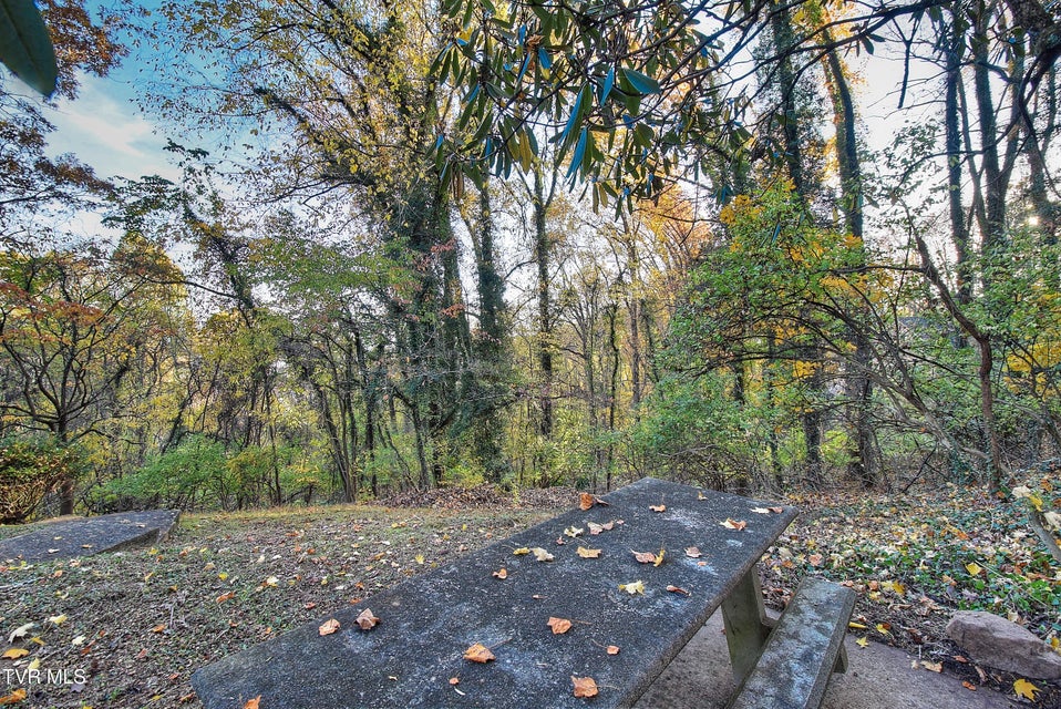 Photo #8: 201 Ridgecrest Drive