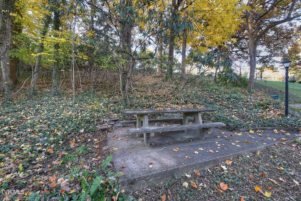 Photo #55: 201 Ridgecrest Drive