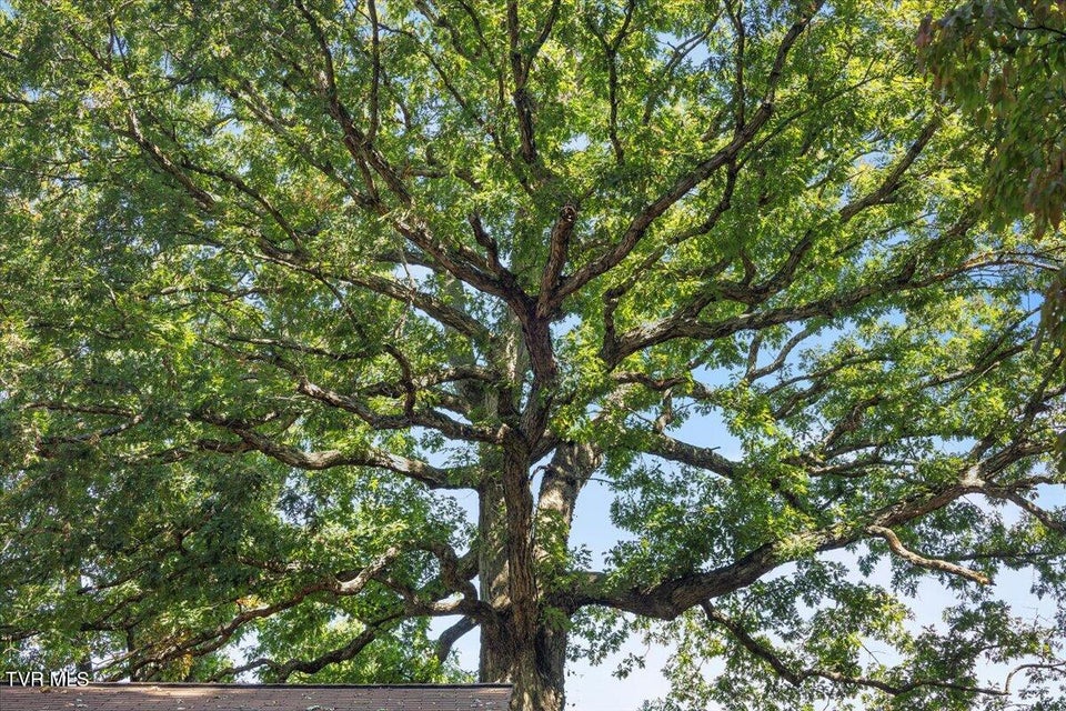 Photo #58: 201 Ridgecrest Drive