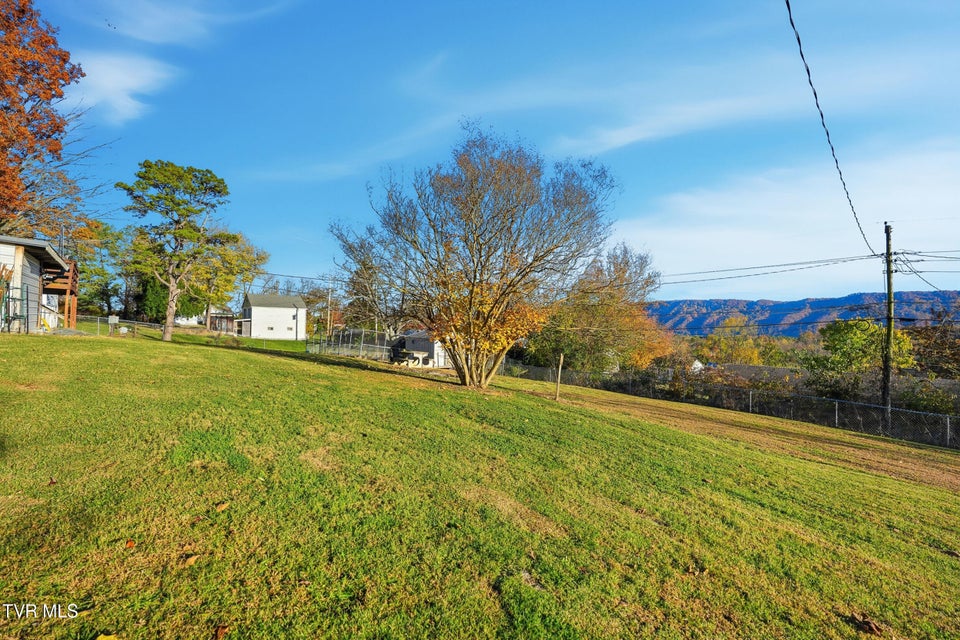 Photo #32: 432 Dogwood Street