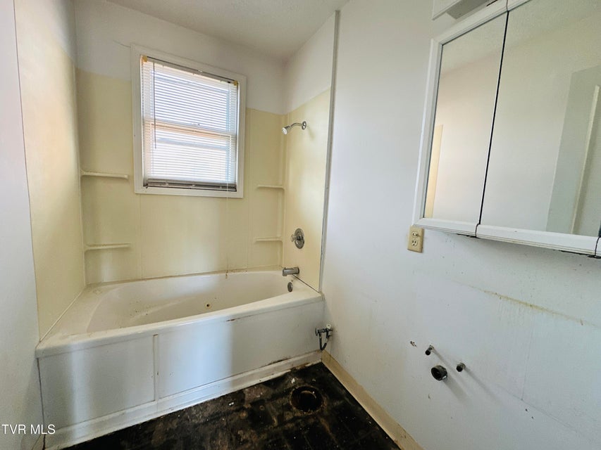 Photo #11: 365 Sewanee Avenue