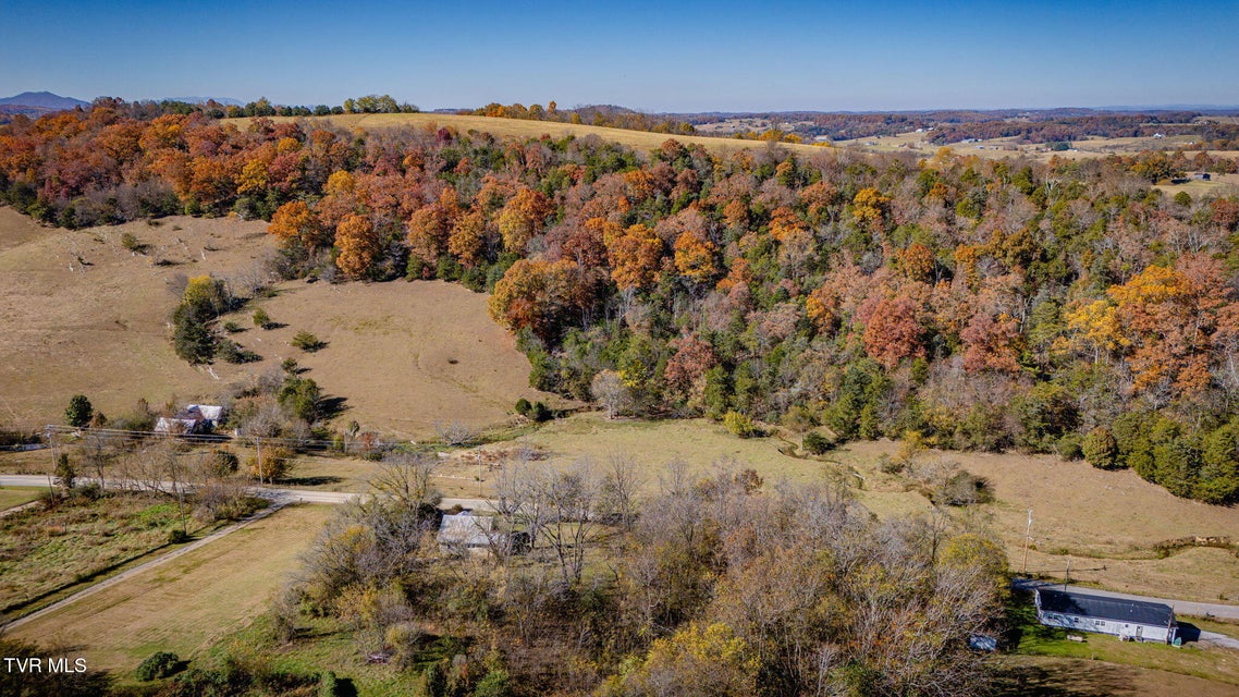 Photo #36: 2345 Allens Bridge Road