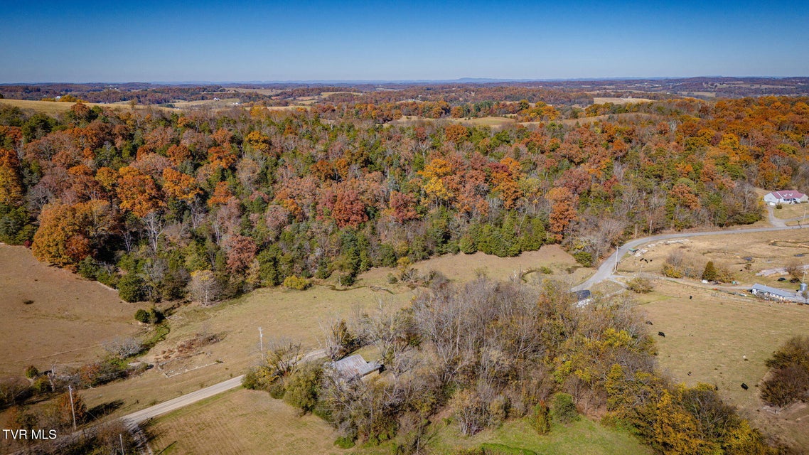 Photo #37: 2345 Allens Bridge Road