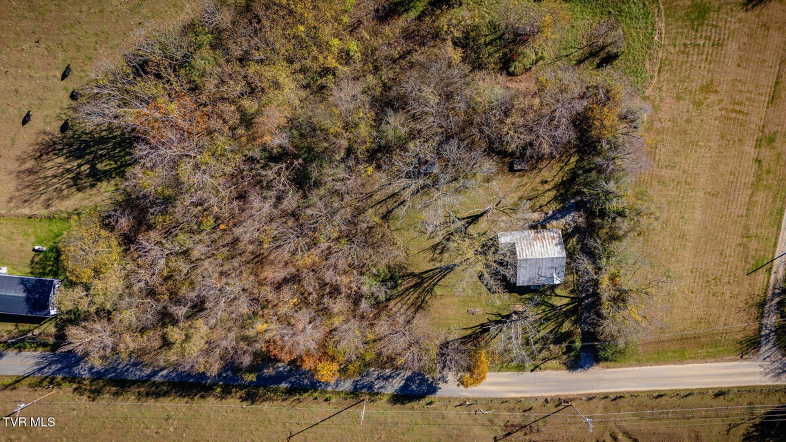 Photo #38: 2345 Allens Bridge Road