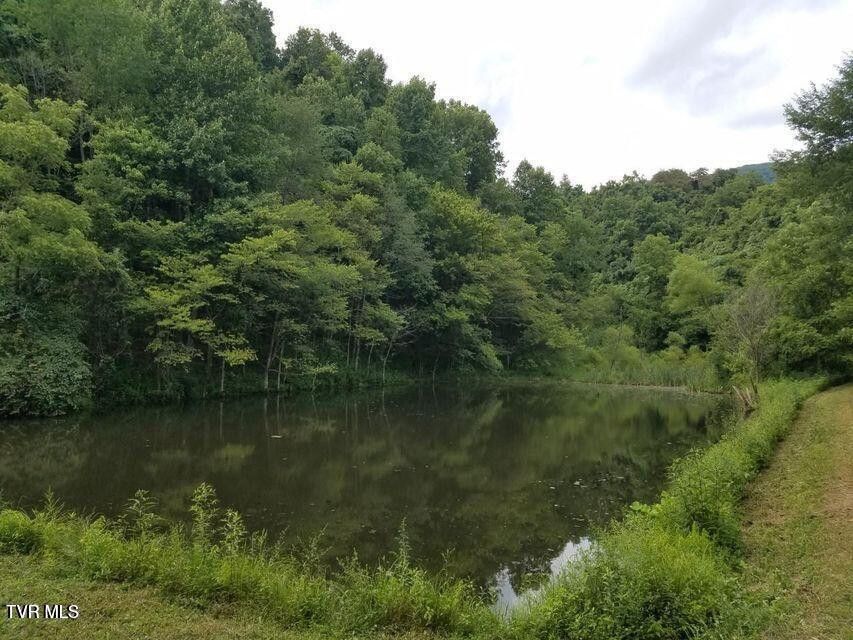 Photo #58: 251 Fee Trail