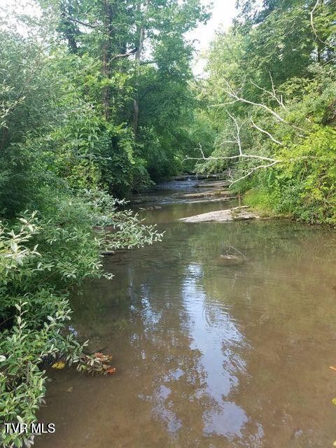 Photo #59: 251 Fee Trail