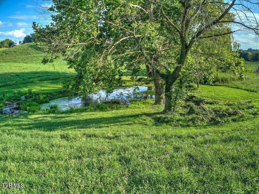 Photo #63: 251 Fee Trail