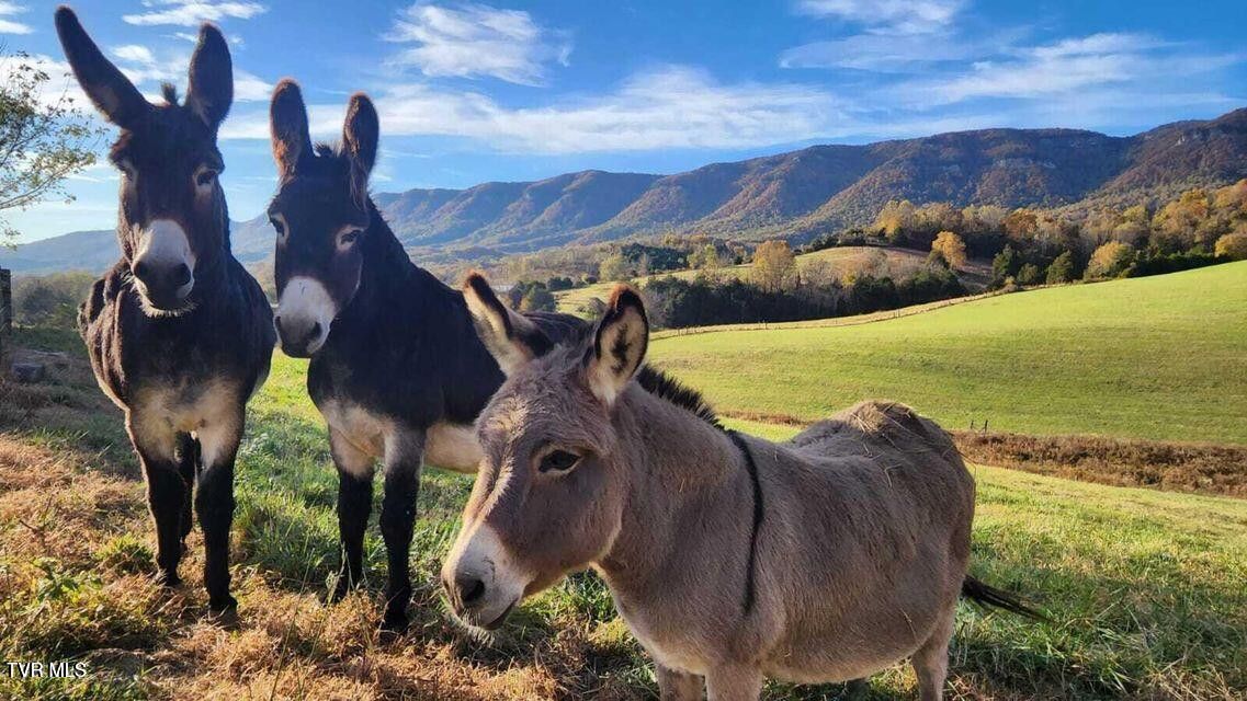 Photo #71: 251 Fee Trail