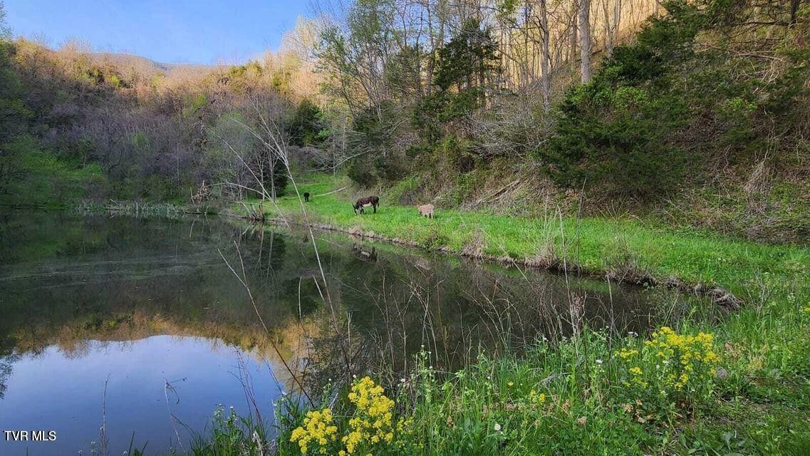 Photo #83: 251 Fee Trail