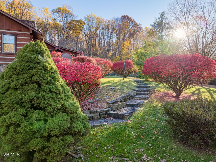 Photo #72: 29616 Tobias Drive