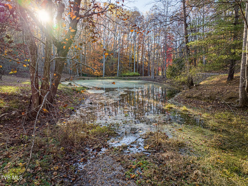 Photo #73: 29616 Tobias Drive