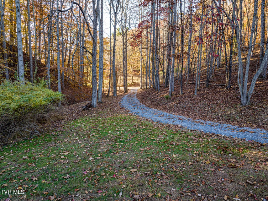 Photo #75: 29616 Tobias Drive