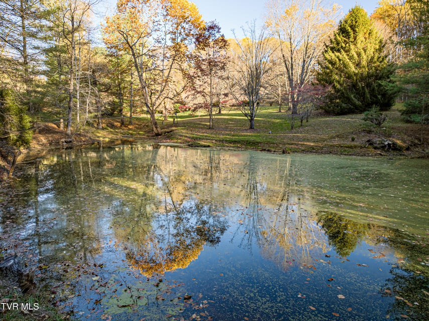 Photo #77: 29616 Tobias Drive