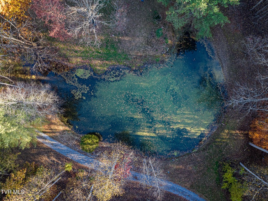 Photo #78: 29616 Tobias Drive