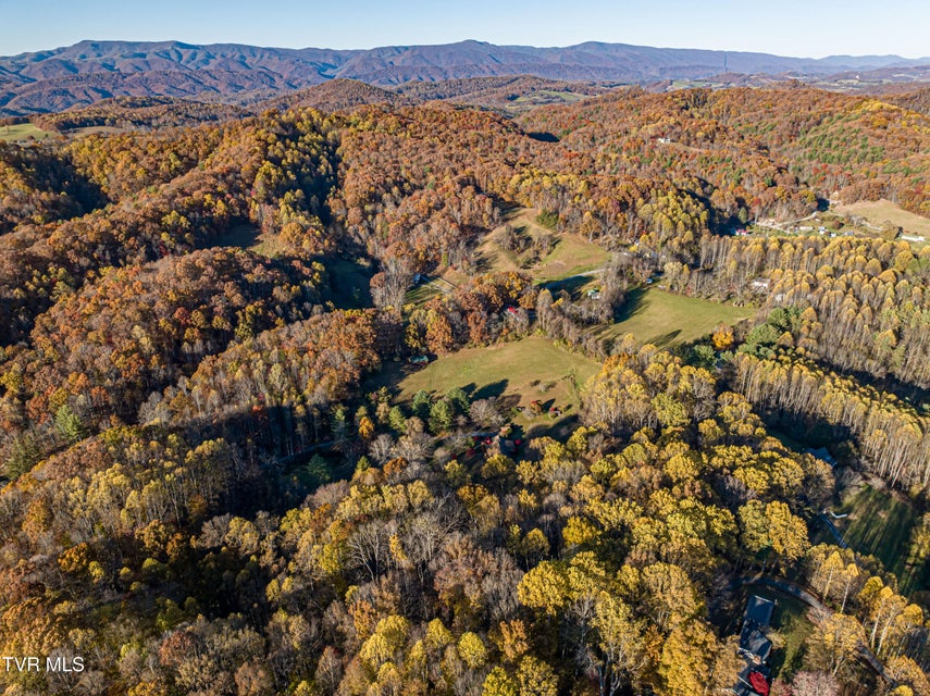 Photo #80: 29616 Tobias Drive