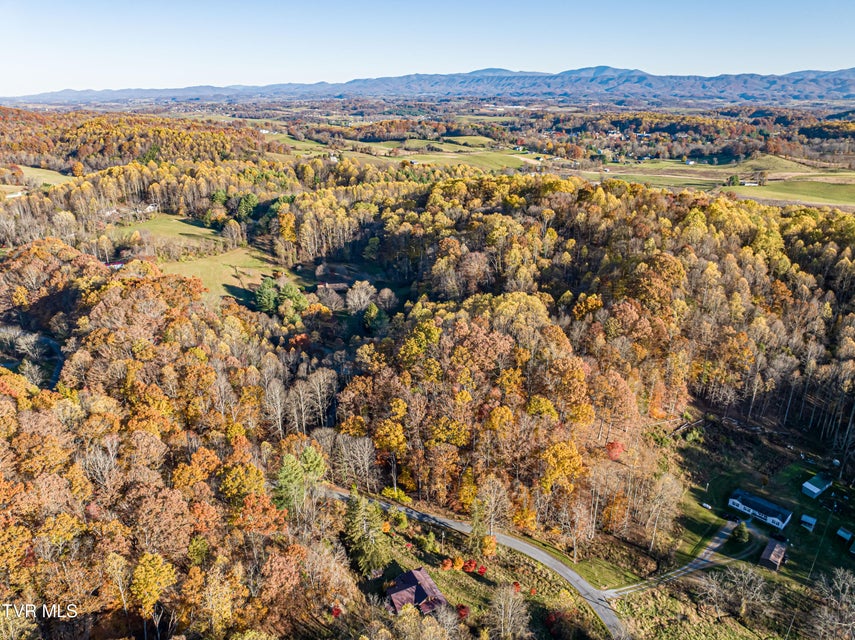 Photo #82: 29616 Tobias Drive