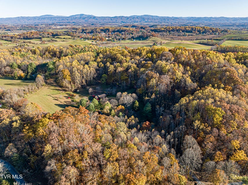 Photo #83: 29616 Tobias Drive