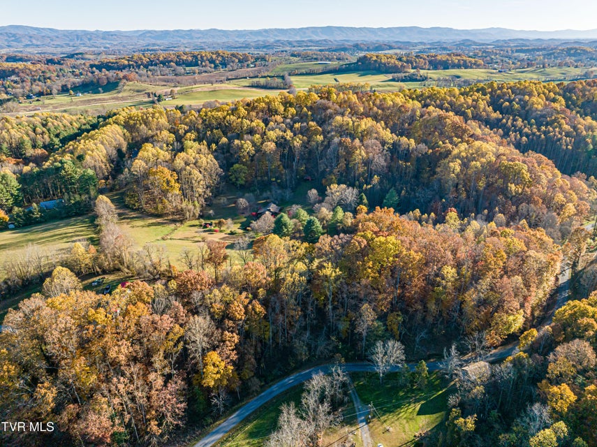 Photo #84: 29616 Tobias Drive